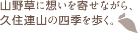 山野草に想いを寄せながら、久住連山の四季を歩く。