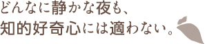 どんなに静かな夜も、知的好奇心には適わない。