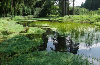 納池公園