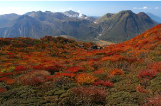 九重連山の紅葉