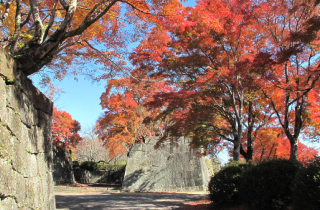 岡城の紅葉