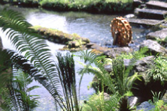 泉水(せんすい)湧水