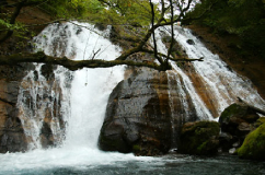 男池の名水