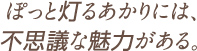 ぽっと灯るあかりには、不思議な魅力がある。